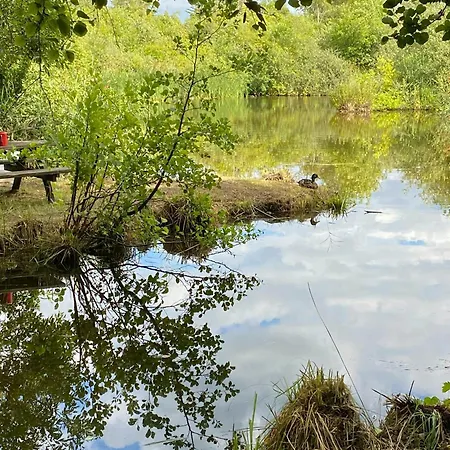 Nordic-style Summer House With Private