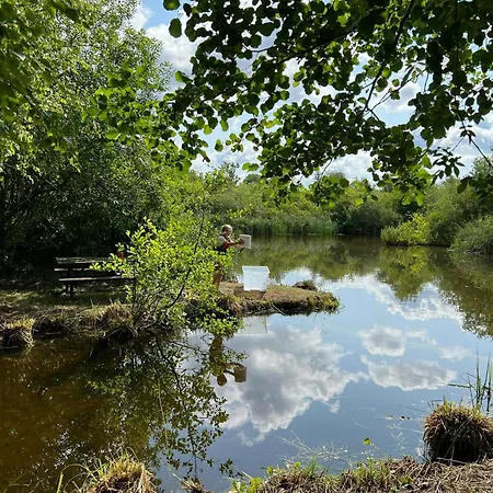 Nordic-style Summer House With Private *