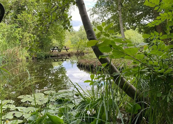 度假居 Nordic-style Summer House With Private *